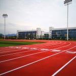 Ultraviolet Proof Sandwich System Running Track Fire Resistant