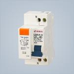 Plastic Metal Type C MCB Circuit Breaker 230V 32A DZ30-32