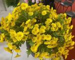 Marguerite Flower Daisy Bouquet Silk Artificial Daisy Flowers Valentines Flowers
