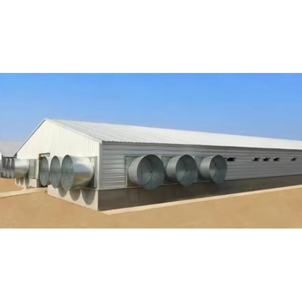 Corrosion Resistance Prefab Poultry House Light Steel Frame Fiberglass Wool Panel