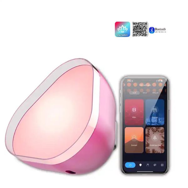 USB Charging Atmosphere LED Lights RGBIC Bluetooth Customized