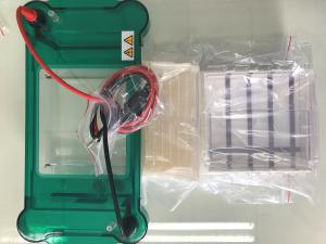 Wholesale 3/6/8/11 Sample Volume Agarose Gel Electrophoresis Equipment Science Lab Equipment Jy-spct from china suppliers