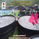 Polyethylene Geomembrane Liners for Fish Pond and Culture Tank in Black Blue or
