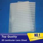 PET 50lpi 70lpi 75 lpi 100lpi 160lpi 3d lenticular plastic holographic