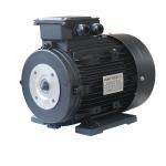 IC411 8.8A Hollow Shaft Motor With 35Kg Weight F Insulation Class