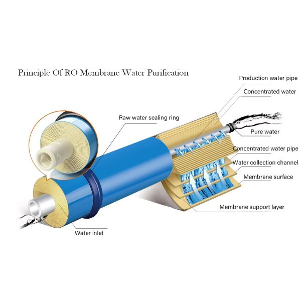 RO + EDI Ultrapure Water System With Precision Welding & Polishing Process