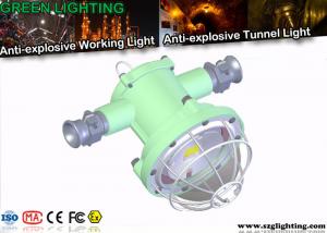 Wholesale IP67 Led Tunnel Lighting Explosion Proof Die - Casting Aluminum Housing from china suppliers