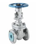 Oil Media ANSI ISO/Coc/CE Flanged Gate Valve Z40/Z41 30 Days for Hassle-Free