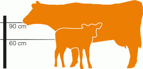ISO-2001 1.2m Height Wire Cattle Fencing With High Tensile
