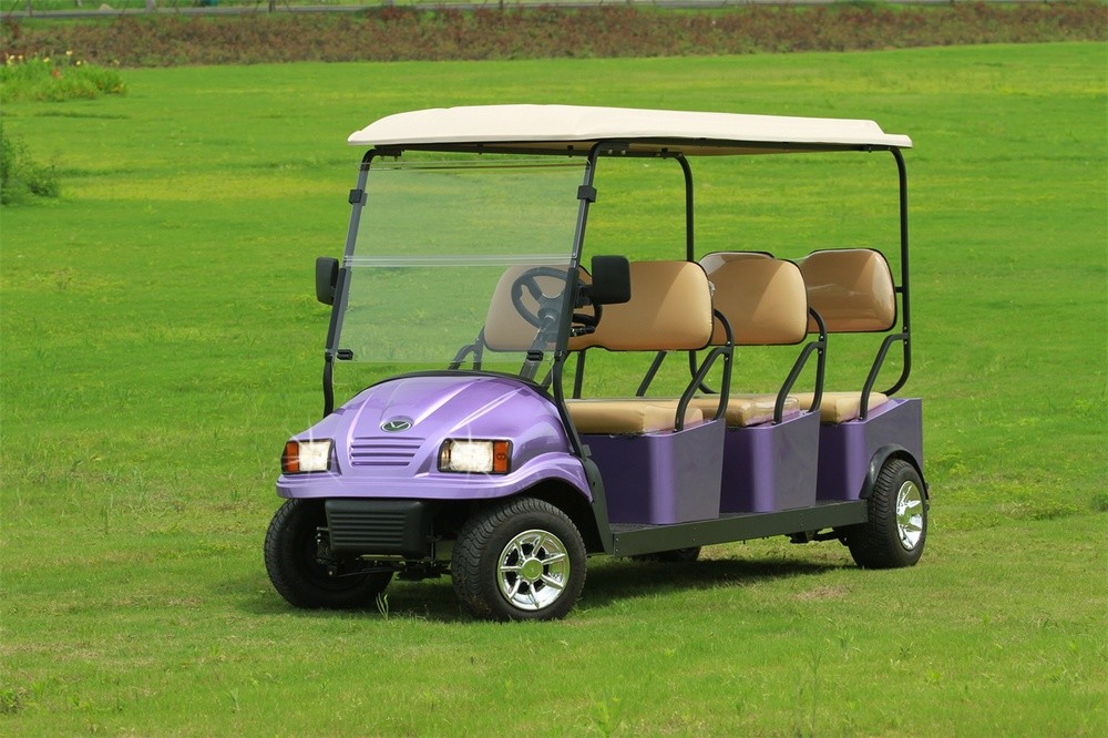 Mini Electric Vehicle 2 Seater Lifted Buggy Golf Carts Lead Acid Lithium Battery Powered