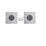 4M Pixel Integrated Fiber End Face Inspection , DC12V Automatic Fiber Optic