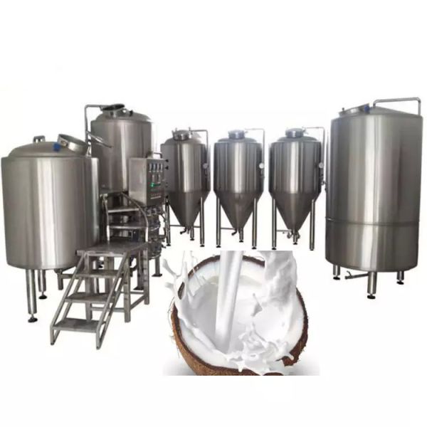 Customized Coconut Milk/water Process Machine Fruit Juice Press Extractor Machine Coconut Production Plant Fruit juice processing line