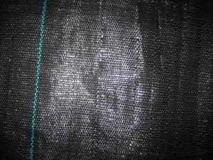 Wholesale PE / PP Woven Ground Cover Fabric 150gsm , Weed Mat For Home Garden from china suppliers
