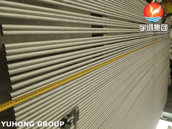ASME SA213 TP316L Stainless Steel Seamless Heat Exchanger Tube For Power