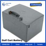 OEM ODM LiFePO4 lithium battery pack golf cart EV lifepo4 battery golf cart club