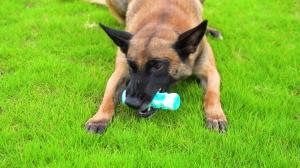 Wholesale Manufacture Pet Product Durable Dog Chew Toys Rubber Bone For Dogs from china suppliers