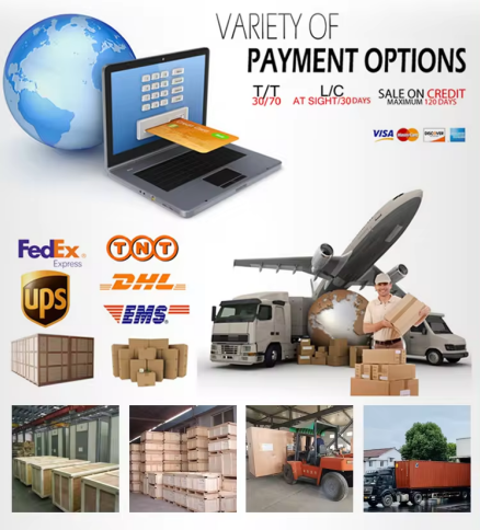 Automatic Vacuum Displacement Vertical Modified Atmosphere Sealer Plastic Customized Tray DQ480L-V High Quality Tray Sealer