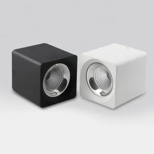 Wholesale 12W Recessed LED Light Energy Saving with Lifespan 50000 Hours from china suppliers