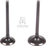 exhaust valve intake valve 04159139 04153697 04231804 04159140 04153455 4159139