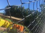 green wire mesh/hurricane fence PVC PE coated Chain Wire Hurricane Fence
