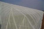 50 /40 / 60 Mesh Hdpe Vegetable Netting For Insects , Mosquito Net Screen