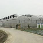 PE Film Tunnel Multi Span Greenhouse High Large Size Anti UV Multi Span