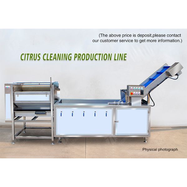 Citrus cleaning production line Fruit Orange Wash Washer Washing Cleaning Dryer processing production Machine