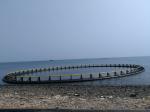 Round HDPE Fishing Net Cage Diameter 10m - 60m For River