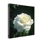 P5.71 Outdoor Fixed LED Display SMD2727 960x960mm 6000nits Black / White Cabinet