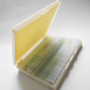 Wholesale Shockproof Gift Fixed Medical Research 100pcs Microbiology Prepared Slides from china suppliers