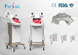 Wholesale 3 minutes heat then cooling 15 inch screen Cryolipolysis Slimming Machine FMC-I Fat Freezing Machine from china suppliers