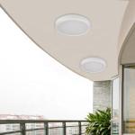 Changeable Warm White IP67 20W Circular Ceiling Light