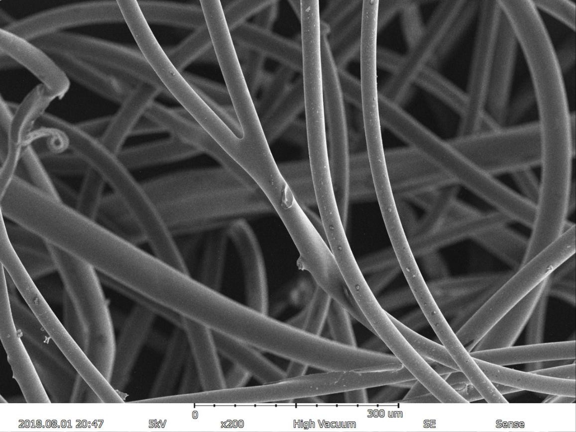 Magnification Max 150000X Scanning Electron Microscope 5nm Resolution EDS BSE