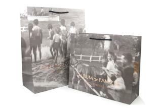 Wholesale Fancy Personalised Paper Bags / Printed Paper Carrier Bags Offset Printing from china suppliers