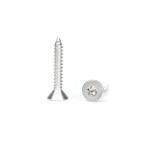 Metric Stainless Steel ST4.8*30mm Flat Torx Head Self-Tapping Screws Sus316