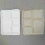 100% Biodegradable Sugarcane Pulp 5 Compartment Tray Natural Bagasse Eco