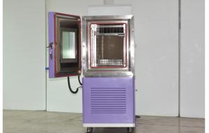 Cold Balanced Vertical Type Benchtop Environmental Test Chamber with Fog-free Viewing Window