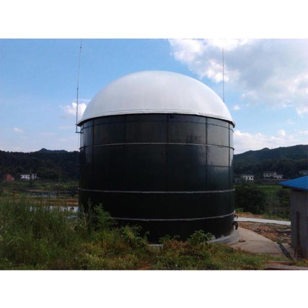 GB Standard Full Automatic Control Biogas Treatment Equipment Anti Corrosion