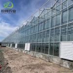 US Currency Juxiang Agricultural Nft Hydroponics System Glass Greenhouse for