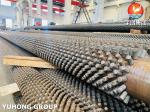 Stainless Steel Seamless Pipe ASTM A312 TP317L with 11Cr Studded Tube , Fired