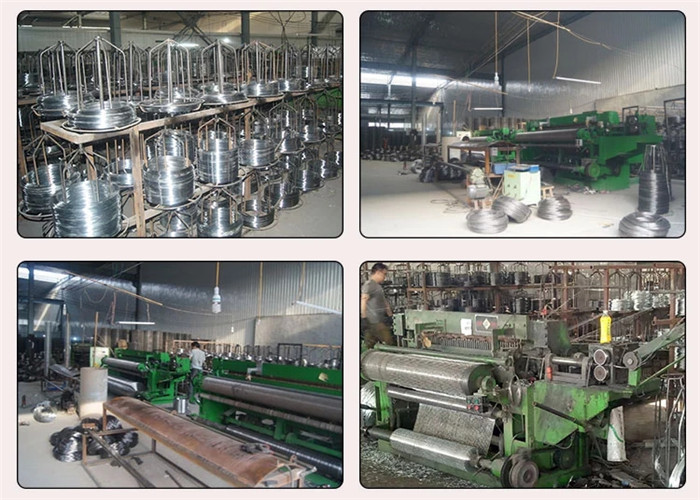 1x1 1/2x1/2 Pvc Coated Wire Mesh , Construction Wire Mesh Custom Packing