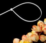 Nylon Cable Tie 8 Series Self Locking Cable Tie Pengikat Nylon Wire Nylon Cable