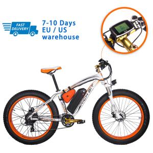 Wholesale US EU STOCK All Terrain Fat Tire Electric Bike 1000w Brushless Motor 17Ah RICH BIT 012 from china suppliers