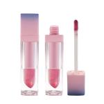 Mix Color Moisturizing Makeup Creamy Lip Gloss