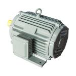 Electrico 380v Squirrel Cage Induction Motor 3 Phase High Voltage