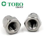 DIN1587 A2-70 Hexagon domed cap fine tooth nuts stainless steel 304 M10 M12 hex