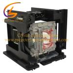 R9832771 5811118452-SVV 5811118482-SVV Vivitek Projector Bulb D5005 D5010