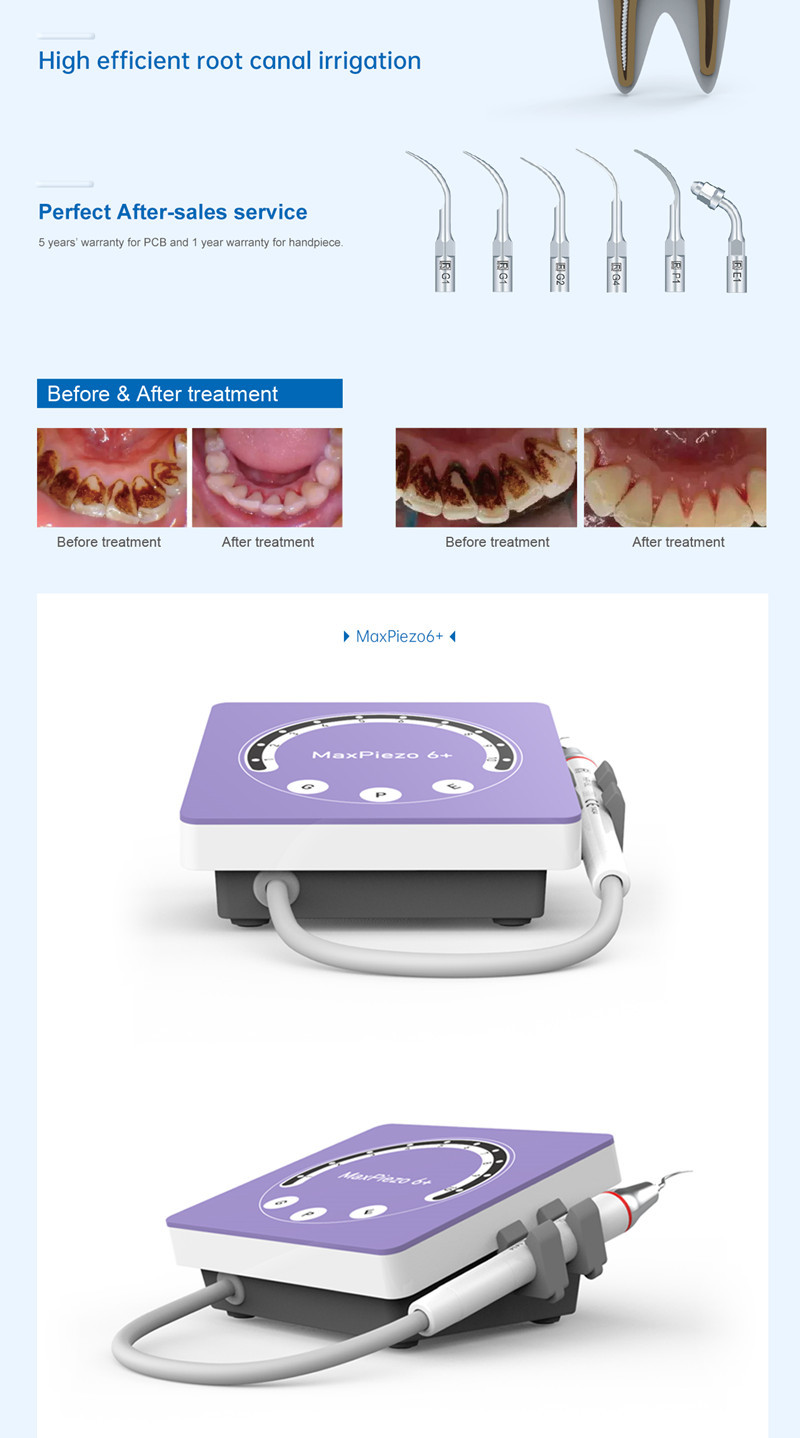 240VAC Dental LED Ultrasonic Scaler 5bar Portable Ultrasonic Scaler