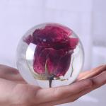 Real dandelion in Clear resin ball flower resin ball ornament