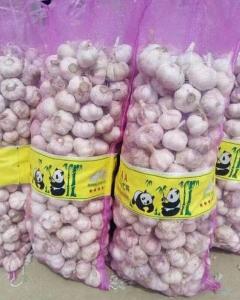 Wholesale Fresh Onion Garlic Packaging Net Bags For Fruit & Vegetable from china suppliers